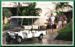 6人座車/ Villager 6 (GAS/ Electric)