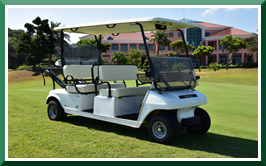 Villager 6 Golf 電動高爾夫球車